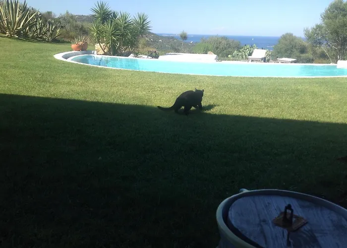 Sa Rezzetta 阿兰奇湾城