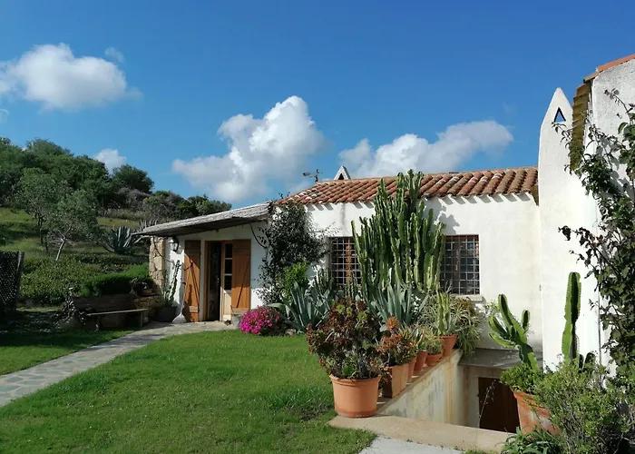 度假居 Sa Rezzetta 阿兰奇湾城